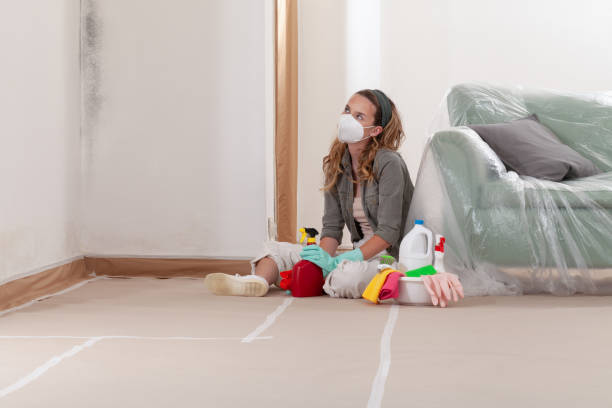 Reliable Mold Remediation contractor in Redmond, WA by Mold Remediation HQ